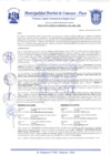 Vista preliminar de documento Resolución Gerencial N° 0281-2020