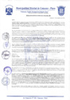 Vista preliminar de documento Resolución Gerencial N° 0295-2020