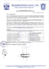 Vista preliminar de documento Resolución Gerencial N° 0300-2020