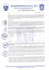 Vista preliminar de documento Resolución Gerencial N° 0296-2020