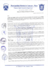 Vista preliminar de documento Resolución Gerencial N° 0294-2020