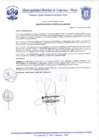 Vista preliminar de documento Resolución Gerencial N° 0301-2020