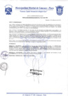 Vista preliminar de documento Resolución Gerencial N° 0302-2020