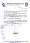 Vista preliminar de documento Resolución Gerencial N° 0303-2020