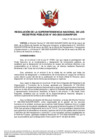 Vista preliminar de documento Resolución de la Superintendencia Nacional de los Registros Públicos N°043-2023-SUNARP/SN