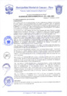 Vista preliminar de documento Acuerdo de Concejo N° 0013-2020