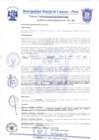 Vista preliminar de documento Acuerdo de Concejo N° 0057-2020