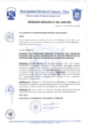 Vista preliminar de documento Ordenanza Municipal N° 0016-2020