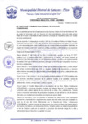 Vista preliminar de documento Ordenanza Municipal N° 0001-2020