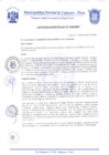 Vista preliminar de documento Ordenanza Municipal N° 0011-2020