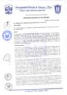 Vista preliminar de documento Ordenanza Municipal N° 006B-2020