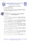 Vista preliminar de documento Ordenanza Municipal N° 0005-2020