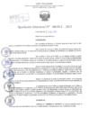 Vista preliminar de documento Resolución Directoral. Nº 1211 - 2023