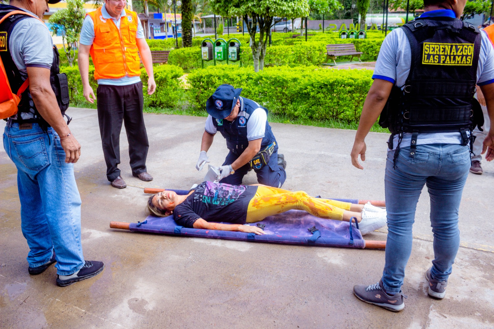 Simulacro Regional Multipeligro