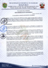 Vista preliminar de documento RSA N°018-2023