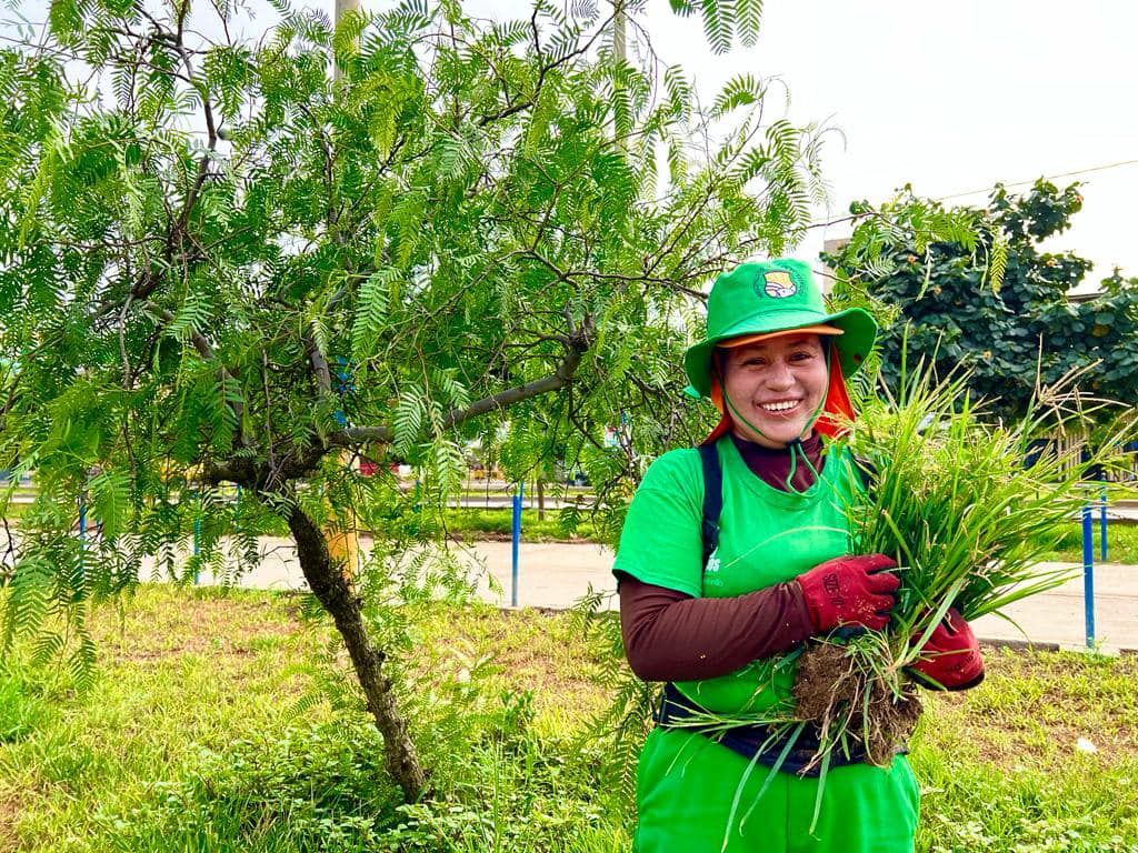 Personal PROVERDE de la Subgerencia de Parques y Jardines.