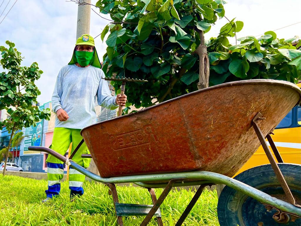 Personal PROVERDE de la Subgerencia de Parques y Jardines.