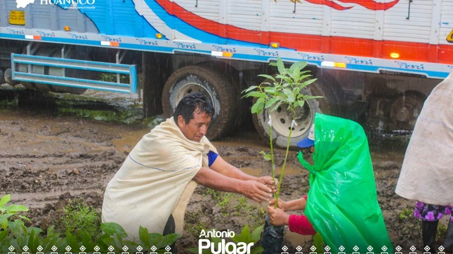 Entrega de palto de Hass y Fuerte a la Asociación de Productores Agropecuarios Proagro Oro Verde, del caserío de Rinconada.
