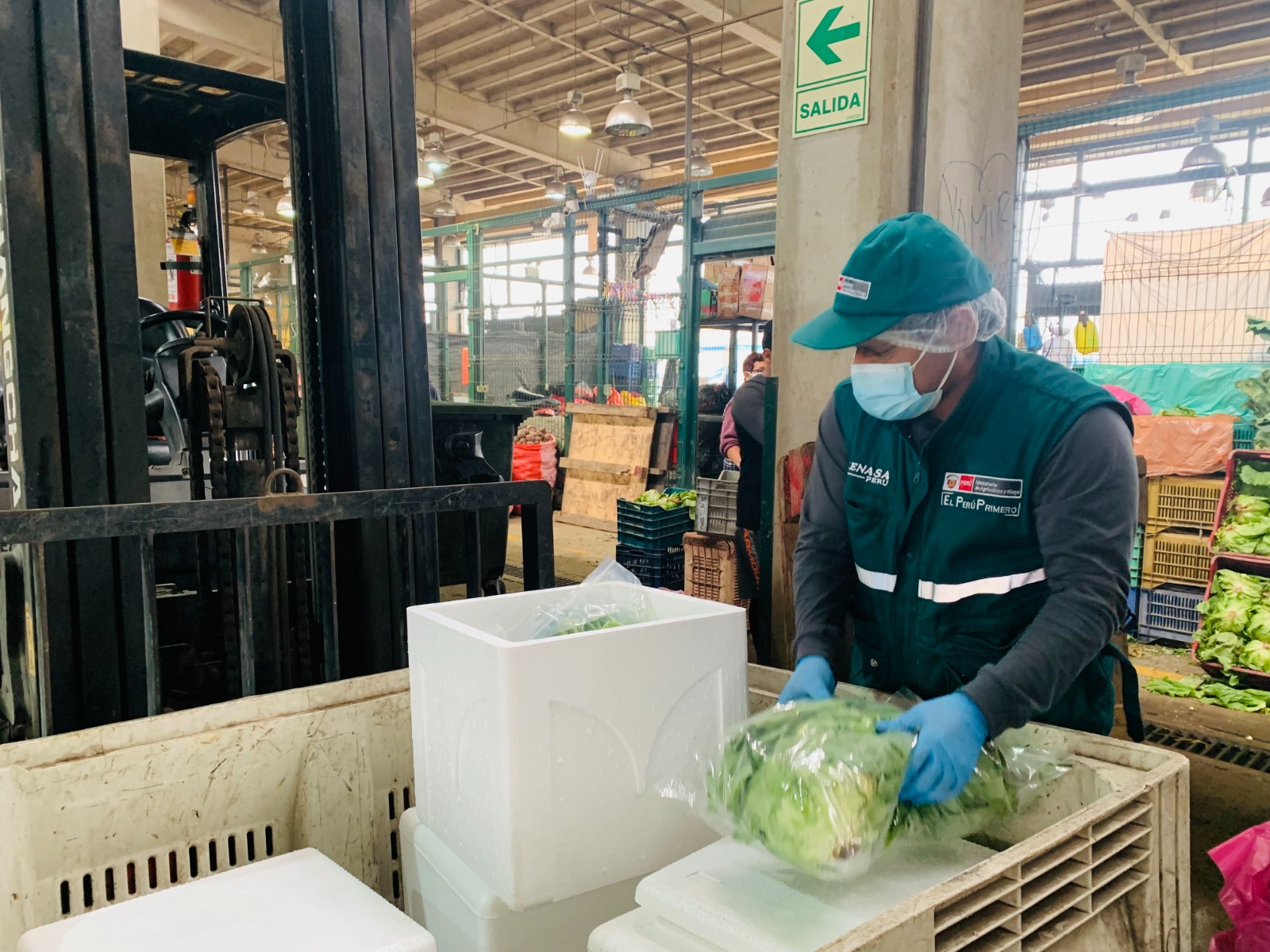 Perú incrementa su producción y oferta de alimentos inocuos - Senasa