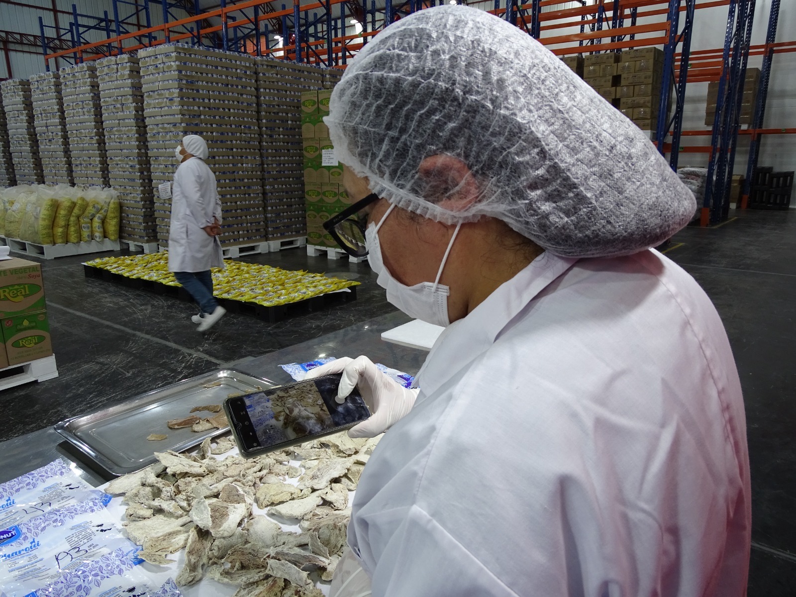 Servicio alimentario escolar