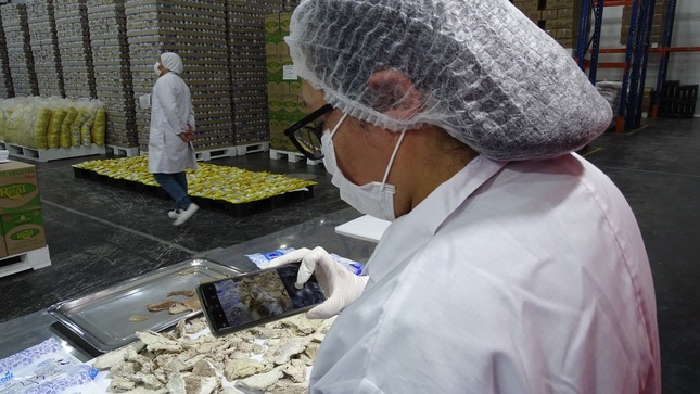 Servicio alimentario escolar