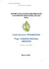 Vista preliminar de documento POI Anual 2022