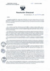 Vista preliminar de documento RD N° 230-2022
