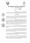 Vista preliminar de documento RER 196