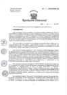 Vista preliminar de documento RD-115-2023-HNHU-DG