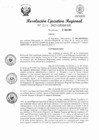Vista preliminar de documento RER 207