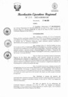 Vista preliminar de documento RER 208