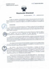 Vista preliminar de documento RD N° 234-2022
