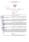 Vista preliminar de documento Resolución Directoral. Nº 1338 - 2023  