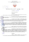 Vista preliminar de documento Resolución Directoral. Nº 1339 - 2023