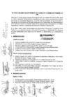 Vista preliminar de documento Acta Segunda- Sesión Ordinaria del CCR 2018