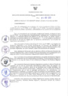 Vista preliminar de documento RES-394-2023