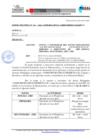 Vista preliminar de documento OFICIO MÚLTIPLE N° 081 - 2021