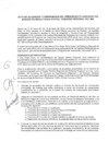 Vista preliminar de documento Actas de Acuerdos y Compromisos - Zona Norte 2019