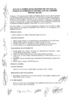 Vista preliminar de documento Acta Primera - Sesión Ordinaria del CCR 2019