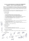 Vista preliminar de documento Acta Tercera- Sesión Ordinaria del CCR 2019