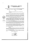 Vista preliminar de documento Resolución Ejecutiva Regional