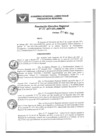 Vista preliminar de documento Resolución Ejecutiva Regional