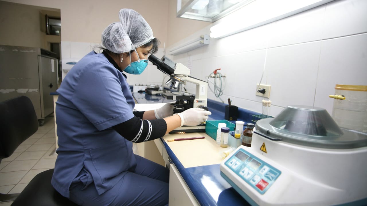 Minsa: más de 40 laboratorios están preparados para diagnóstico oportuno de dengue en el país