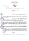 Vista preliminar de documento Resolución Directoral. Nº 1381 - 2023 