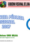 Vista preliminar de documento Presentación del Gobernador Regional 2017