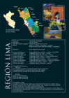 Vista preliminar de documento Brochure  2009