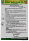 Vista preliminar de documento ACUERDO 33 