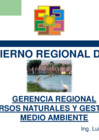 Vista preliminar de documento Presentación GRRNGMA
