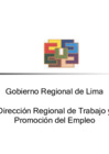 Vista preliminar de documento Presentación Dir. Reg. Trabajo