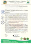 Vista preliminar de documento RESOLUCION DE ALDALDIA 37
